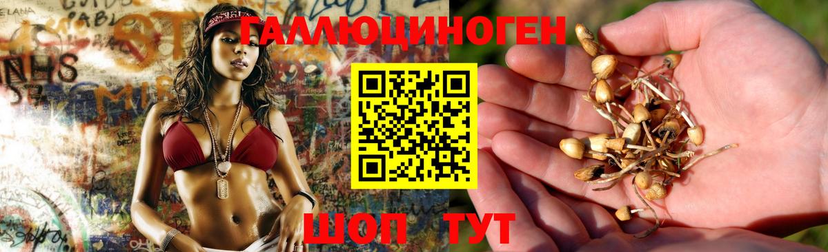 Галлюциногенные грибы GOLDEN TEACHER Ачхой-Мартан